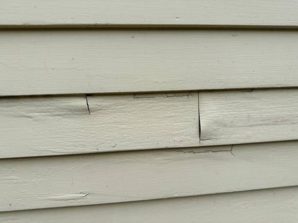 Trusted Matheny, CA Siding Services Experts